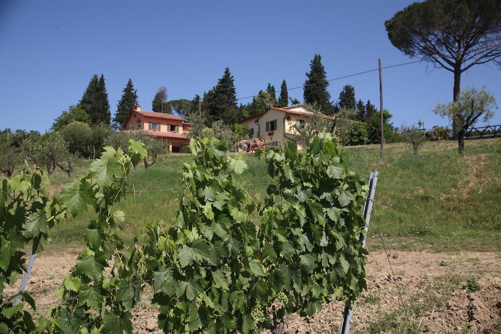 Agriturismo Podere Poggio Ai Cieli San Gimignano Luaran gambar